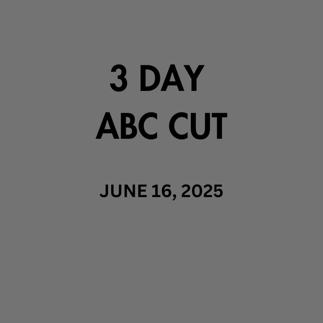 3 Day ABC Cutting Course Sassoon Salon 3-day-abc-cutting-course-sassoon-salon